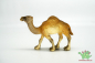Preview: Schleich Dromedar 14082